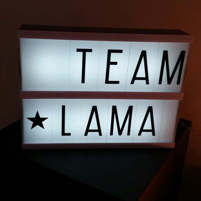 avatar de Mi et Ti TeamLama