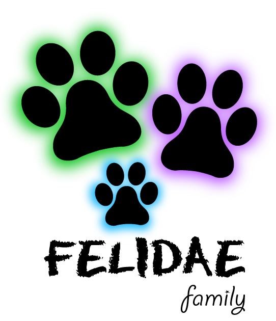 avatar de Felidae Family