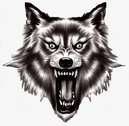 avatar de alexdarkwolf28