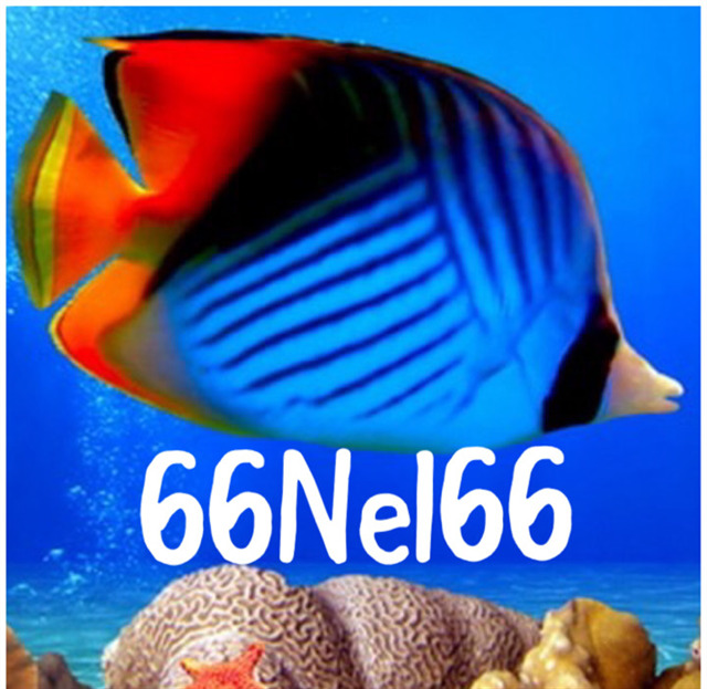 avatar de 66Nel66