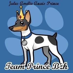 avatar de TeamPrinceBzh