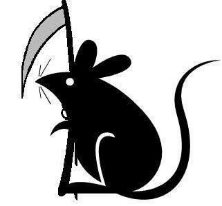 avatar de Mousekiller