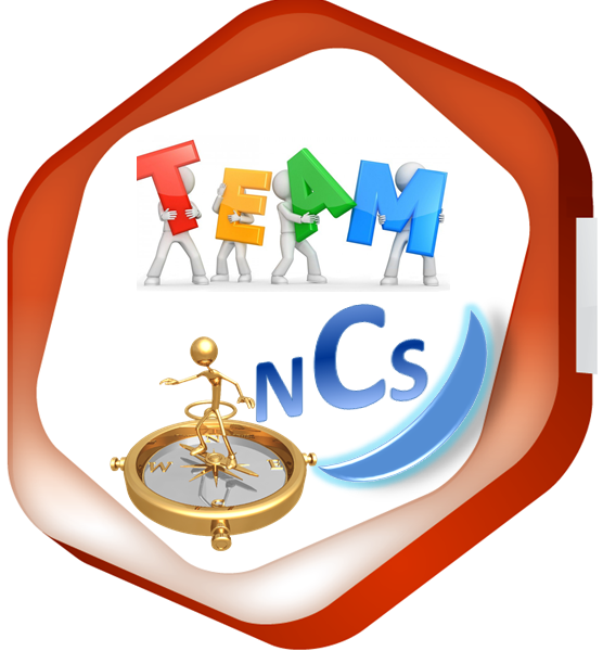 avatar de Team nCs
