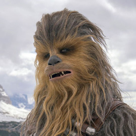 avatar de Chewbacca65