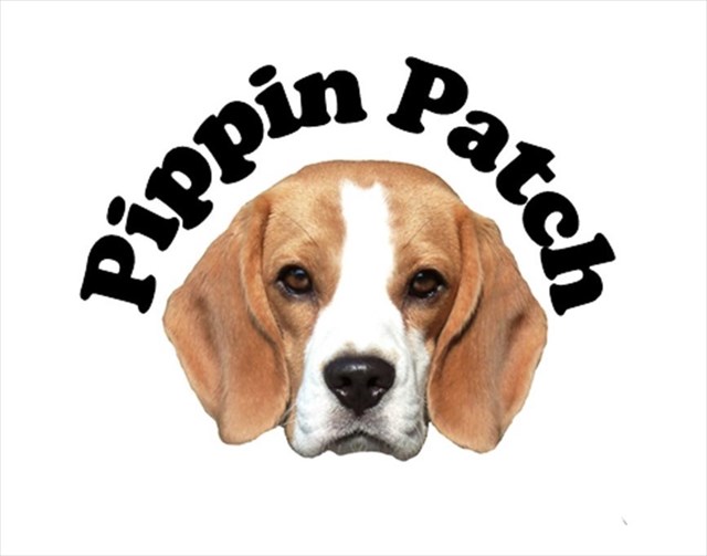 avatar de PippinPatch