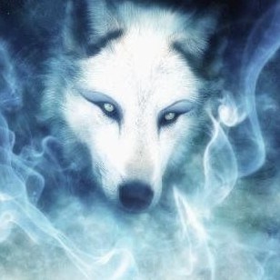 avatar de Nightwolf8371