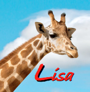 avatar de Giraffen-Lisa