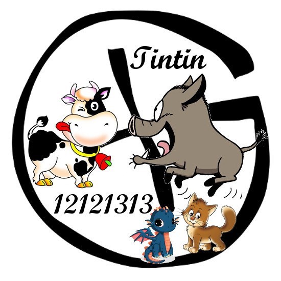 avatar de Tintin12121313