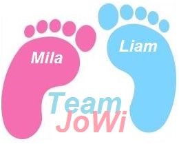 avatar de Team JoWi