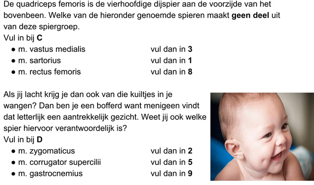 Kuiltje wand-1.png