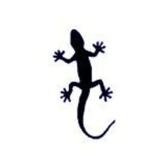 avatar de salamandre58