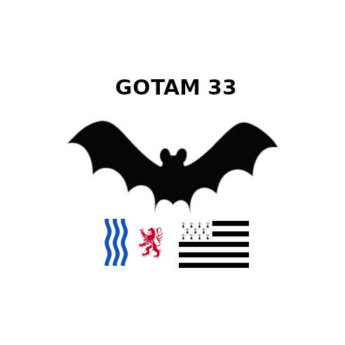 avatar de GOTAM33