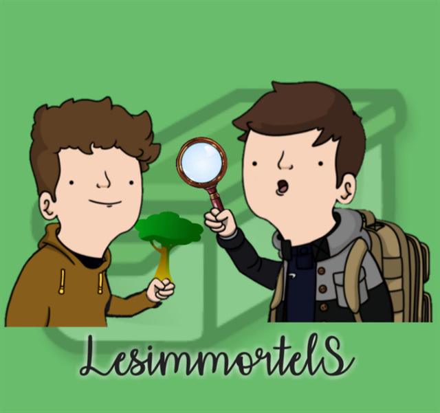 avatar de LesimmortelS