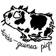 avatar de swiss-guinea pigs