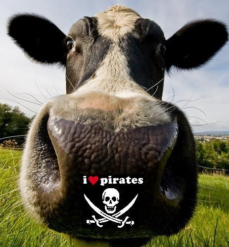 avatar de les vaches pirates