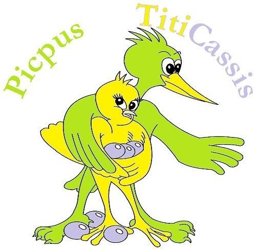 avatar de picpus et titicassis