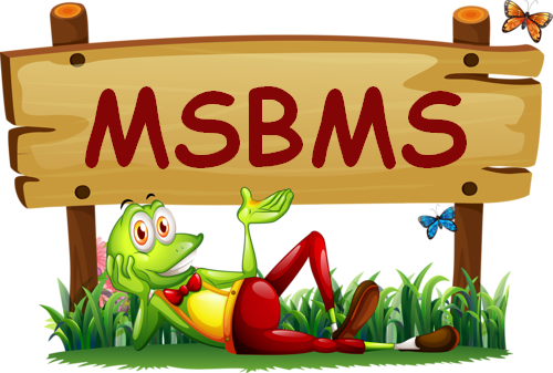 avatar de MSBMS