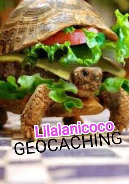 avatar de Lilalanicoco