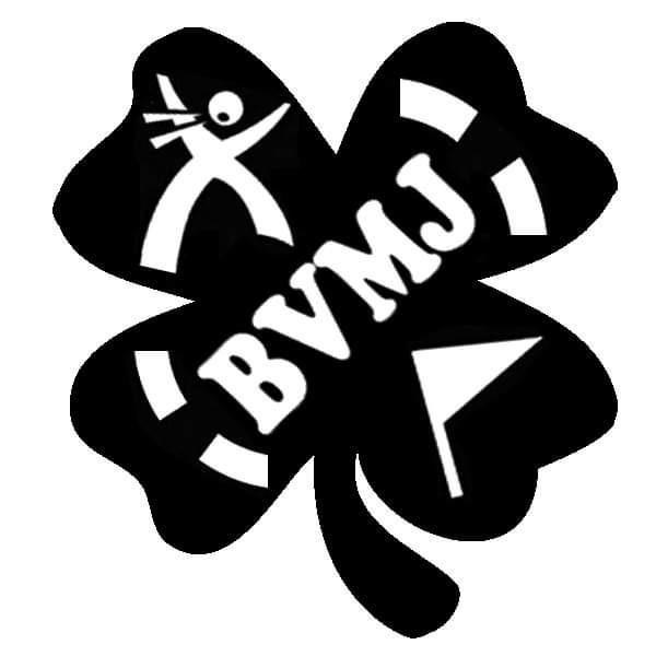 avatar de BVMJ