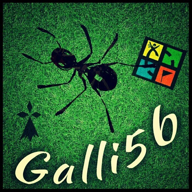 avatar de Galli56
