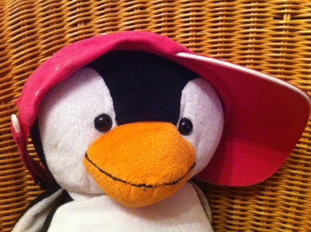 avatar de Pinguteam