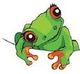 avatar de grenouille29