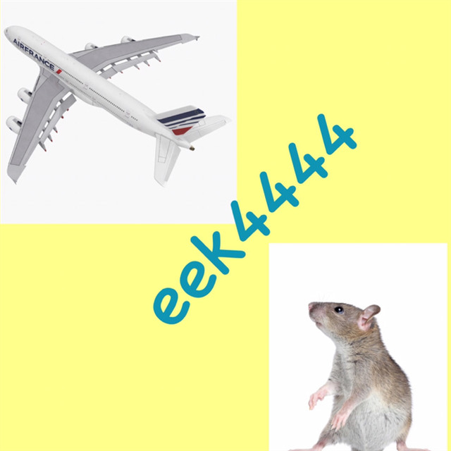 avatar de eek4444