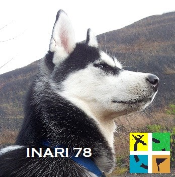 avatar de INARI 78