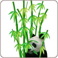 avatar de bambous