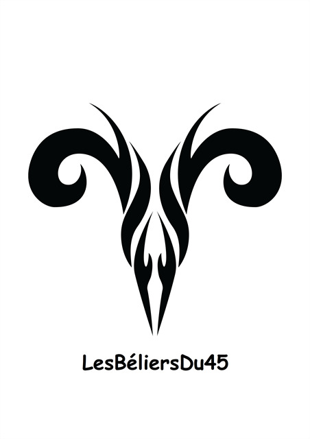 avatar de LesBéliersDu45