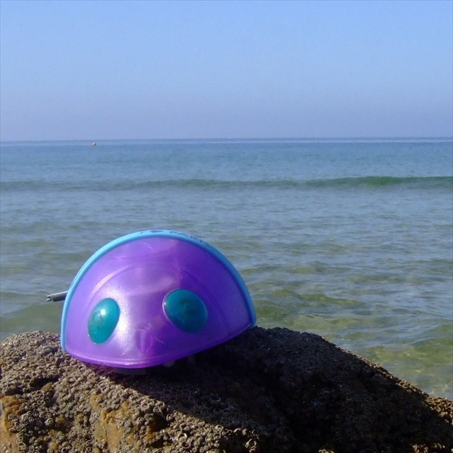 avatar de The Purple Mouse