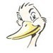 avatar de le canard du canal