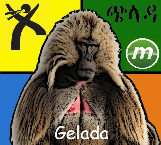 avatar de Gelada