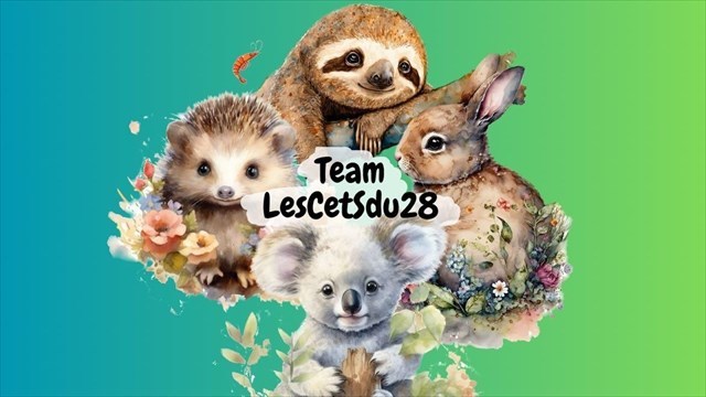 avatar de lesCetSdu28