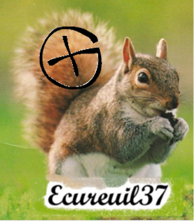 avatar de Ecureuil37