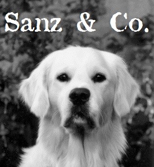 avatar de Sanz &Co