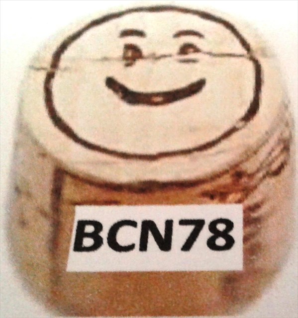 avatar de BCN78