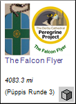 The Falcon Flyer travel bug