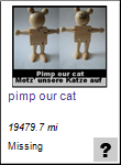 pimp our cat