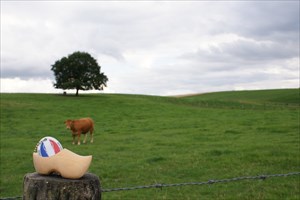 Flying Dutchman&#39;s Clog in the hills from Limburg