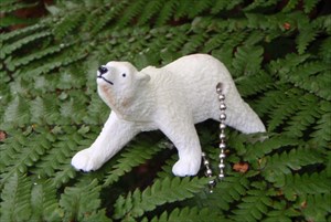 Polar Bear TB