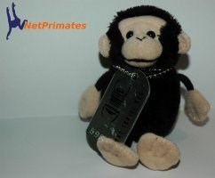 Net Primate