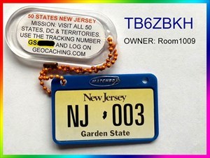 50 States - New Jersey (duplicate)