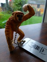 Chris, The Cheeky Monkey