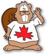 Beaver Dude