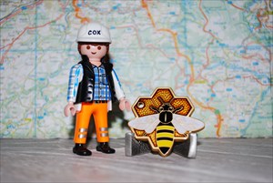Chaos Travel Bee