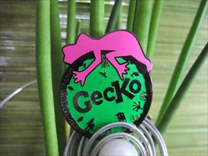 Gecko crazy neon