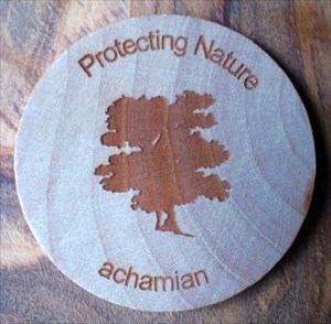 Achamian&#39;s Wooden Coin