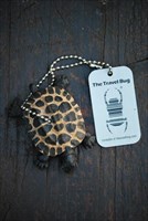 The Tortoise