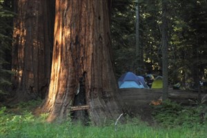 Camping at Balch Park